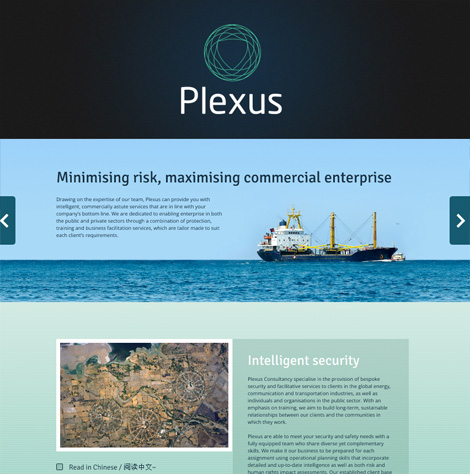 Plexus Parallax website